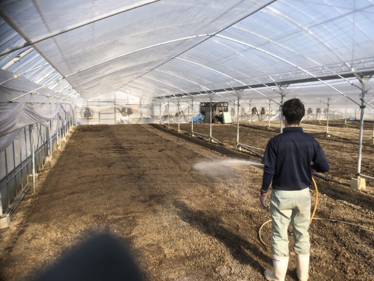 メロン農家様の圃場で試験開始 | Re.FARM|株式会社ナチュラルファーム